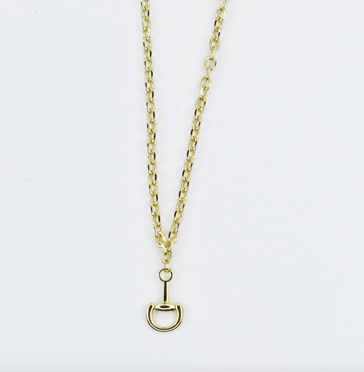 The Gold Snaffle Necklace
